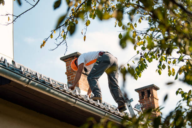 Roof Gutter Cleaning in Addison, IL